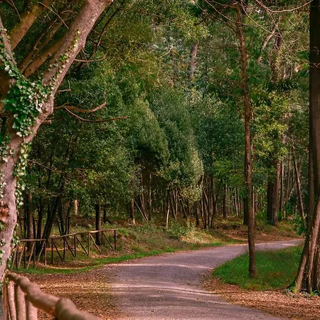 Διαμέρισμα Galante Ii