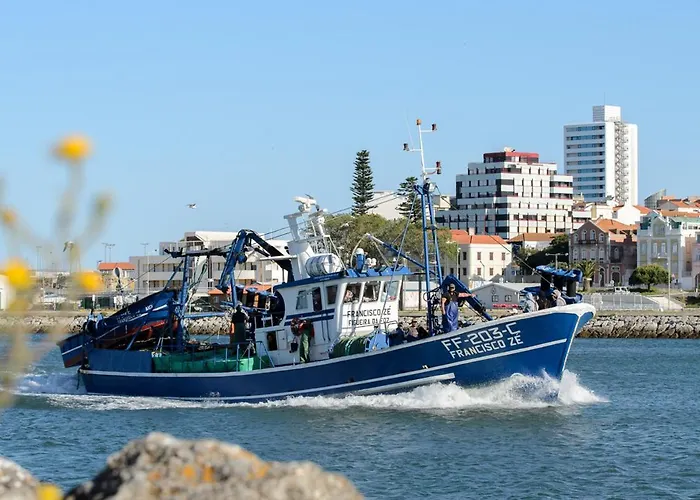 Galante Ii * フィゲイラ・ダ・フォズ