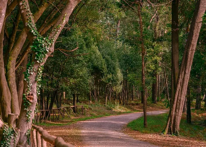 アパート Galante Ii